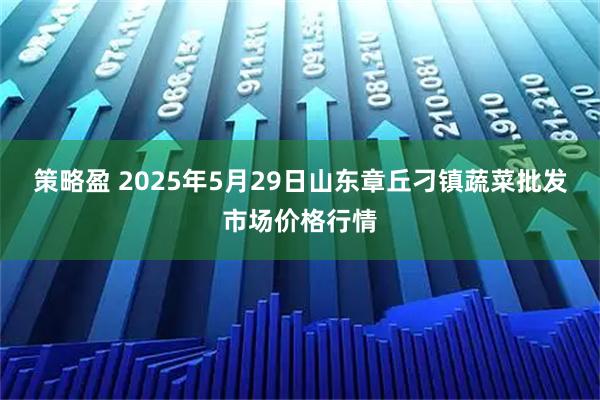 策略盈 2025年5月29日山东章丘刁镇蔬菜批发市场价格行情