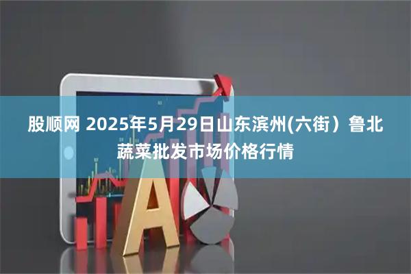 股顺网 2025年5月29日山东滨州(六街）鲁北蔬菜批发市场价格行情