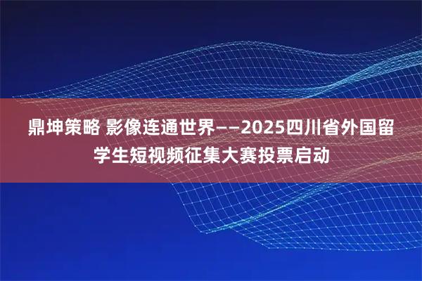 鼎坤策略 影像连通世界——2025四川省外国留学生短视频征集大赛投票启动