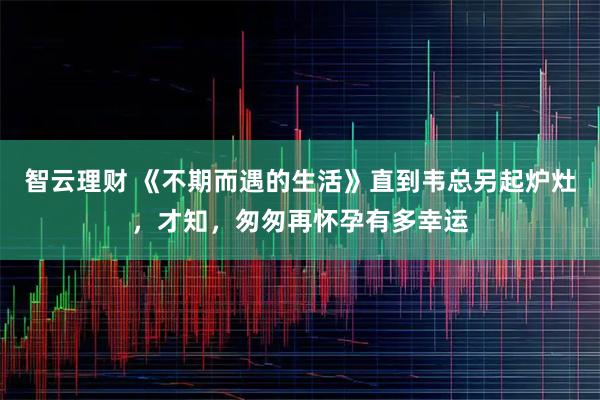 智云理财 《不期而遇的生活》直到韦总另起炉灶，才知，匆匆再怀孕有多幸运